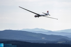 z-logo-162732_filtered