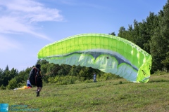 z-logo-163372_filtered