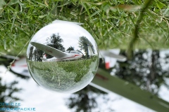 z-logo-1DSC_0048wyo120