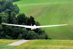 z-logo-1DSC_0107wyo120