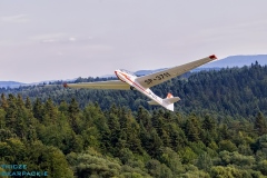 z-logo-1IMG_3036a