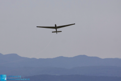 z-logo-1IMG_9752_filtered