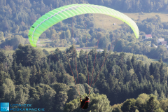 z-logo-1IMG_9775