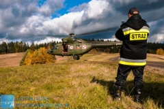 Fot. WANDA DZIURA © / dla Lotnicze podkarpackie