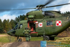 Fot. WANDA DZIURA © / dla Lotnicze podkarpackie