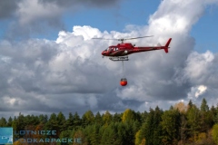 Fot. WANDA DZIURA © / dla Lotnicze podkarpackie