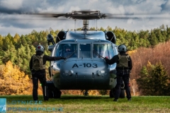 Fot. WANDA DZIURA © / dla Lotnicze podkarpackie