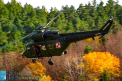 Fot. WANDA DZIURA © / dla Lotnicze podkarpackie