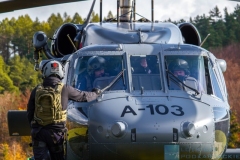 Fot. WANDA DZIURA © / dla Lotnicze podkarpackie