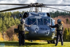 Fot. WANDA DZIURA © / dla Lotnicze podkarpackie