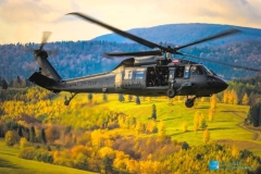 Fot. TOMASZ KĘPANOWSKI © / dla Lotnicze podkarpackie