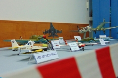 Fot. Katarzyna Hadała