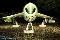 Fot. Tomasz Kępanowski